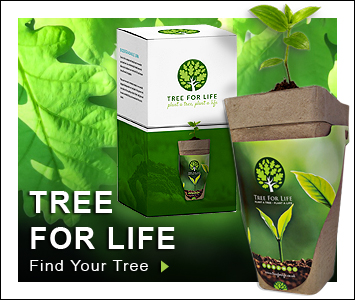 Eco-friendly Biodegradeable Memorial Tree Urn